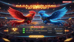Thưởng Nóng Thắng Liên Tiếp Đá Gà Betvip: Rinh Quà Cực Khủng